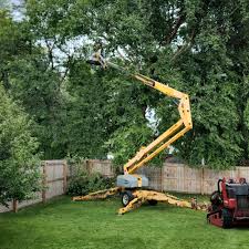 Seasonal Cleanup in High Ridge, MO